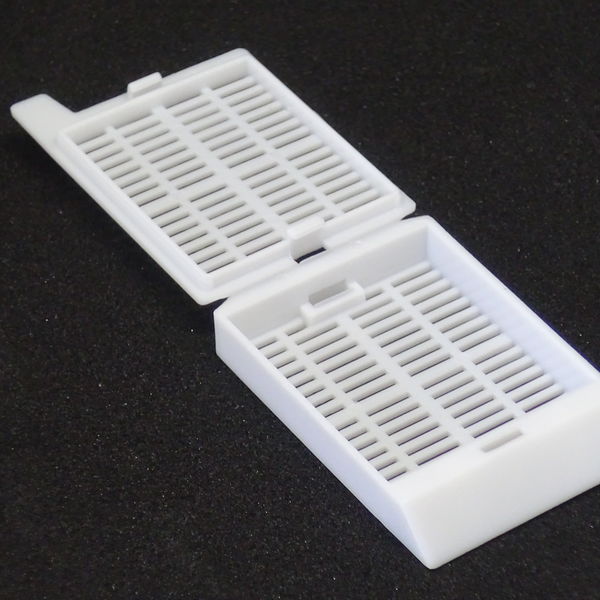 AV BioInnovation